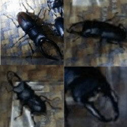 Thumbnail of post image 120